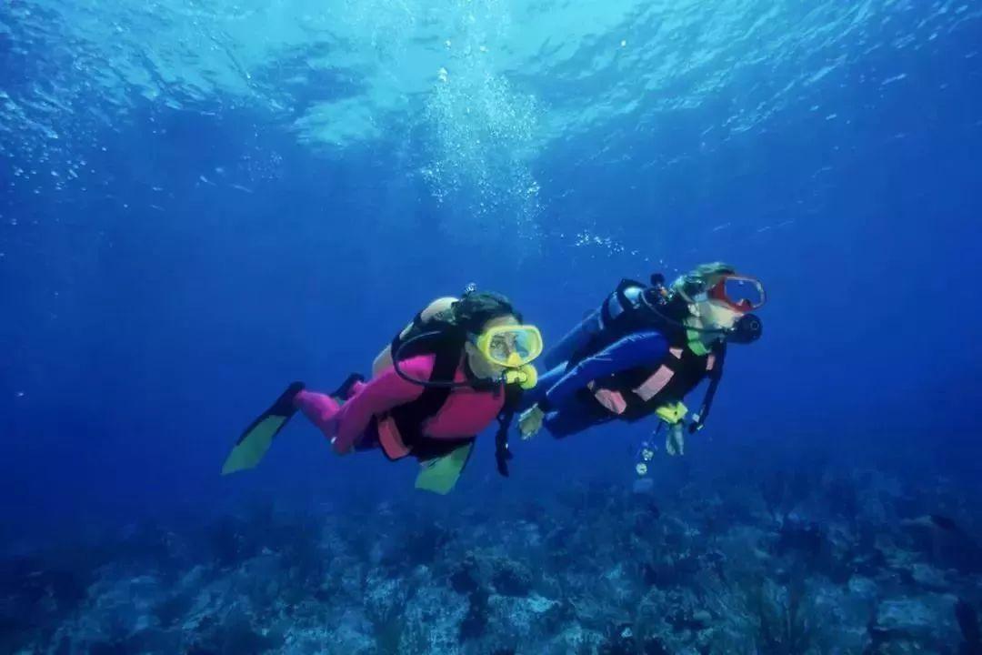 大山羔羊逃生